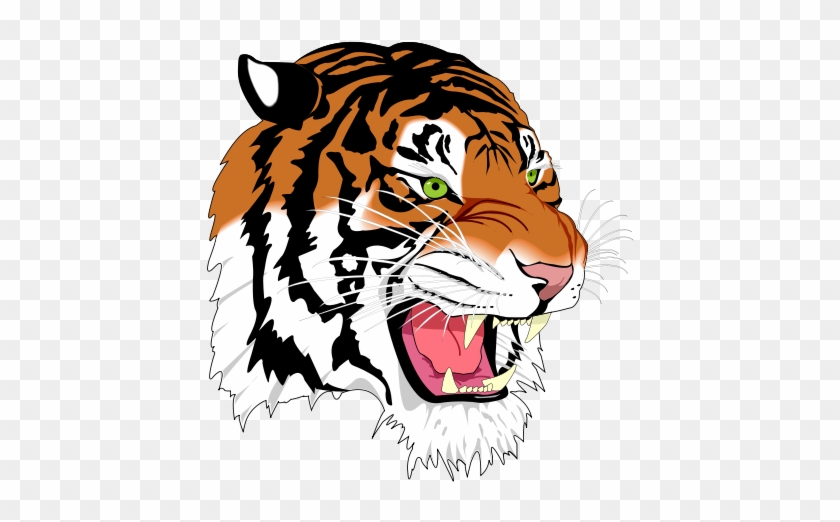 Lacrosse High School - Mansfield Senior High Tygers #1460168