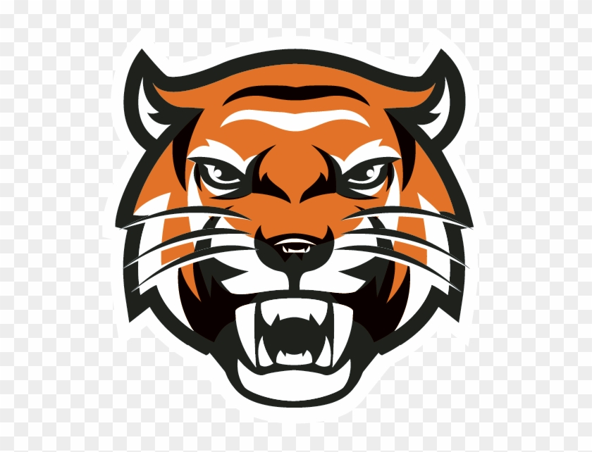 Tiger Head Transparent - Yamhill Carlton High School Mascot #1460176