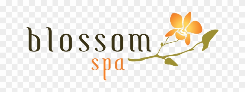 Blossom Spa Hollywood Best Spa In Hollywood Best Massage - Spa #1460351