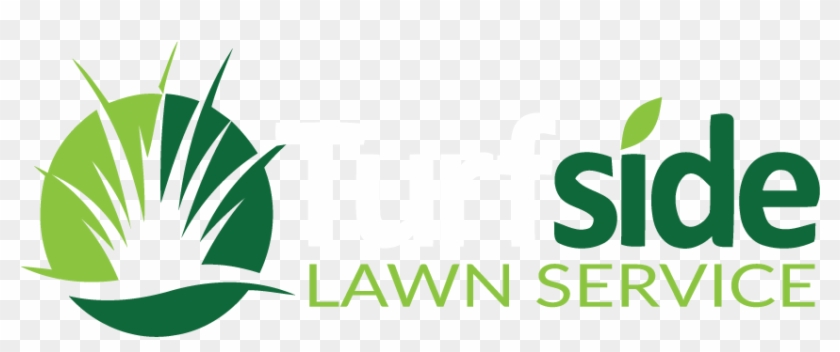 Schedule Your Free Lawn Analysis Today - Gluten #1460399