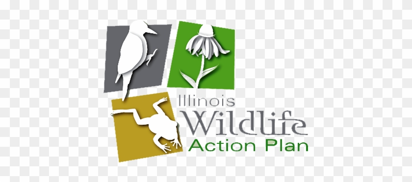 Illinois Wildlife Action Plan 2015-public Comment - Illinois State Wildlife Action Plan #1460412