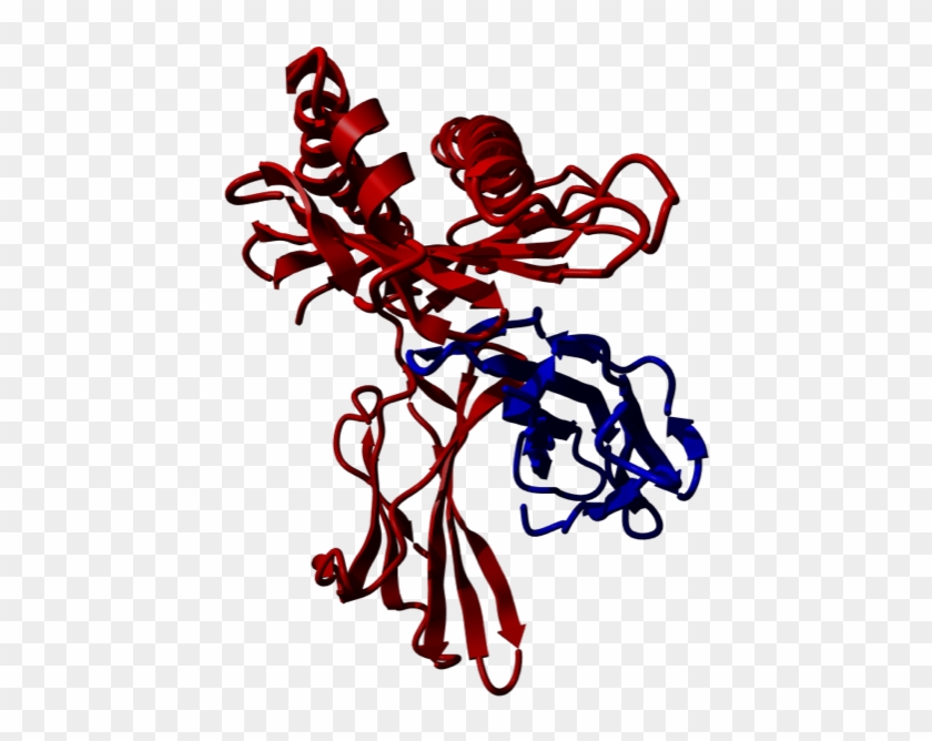 Hfe Complex - Hfe Complex #1460488