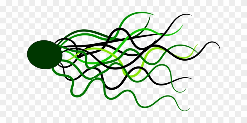 Line Curve Green Circle Shape - Yeşil Şemsiye Png Vektör #1460779