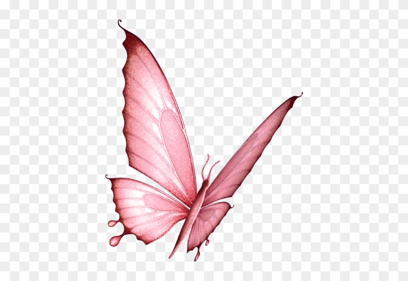 Featured image of post Borboletas Rosas Png Desenho Borboleta desenho pintura em aquarela ilustra o borboleta ilutra o de quatro borboletas de cores sortidas pintado escova borboleta de p png