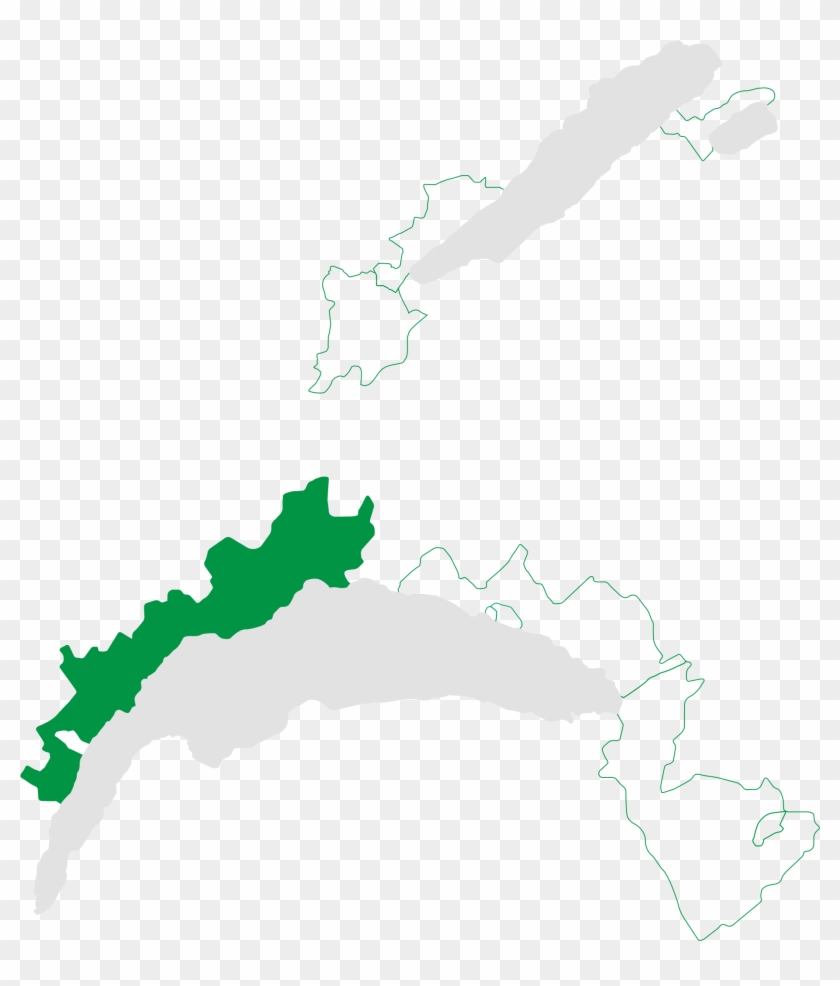 Vine Parcels Are Compartmentalized And Organized To - Vine Parcels Are Compartmentalized And Organized To #1461201