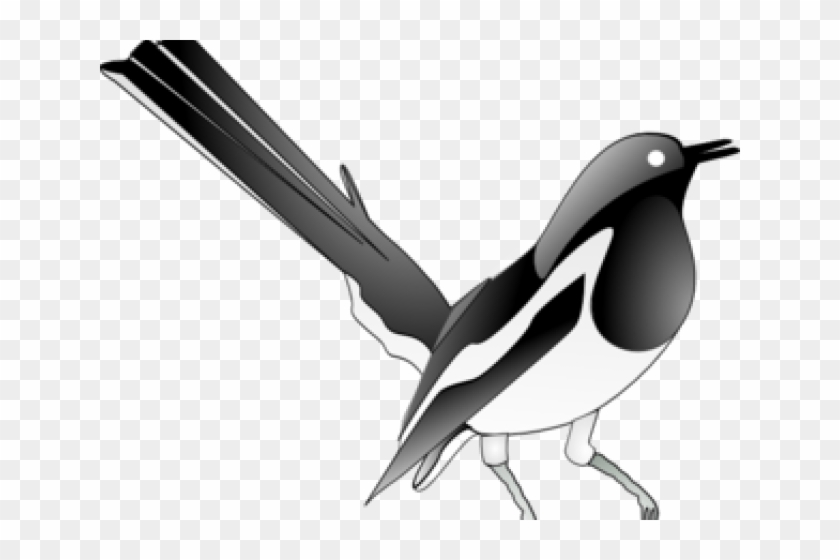 Robin Clipart Vector - Magpie Robin Clipart Black And White #1461546