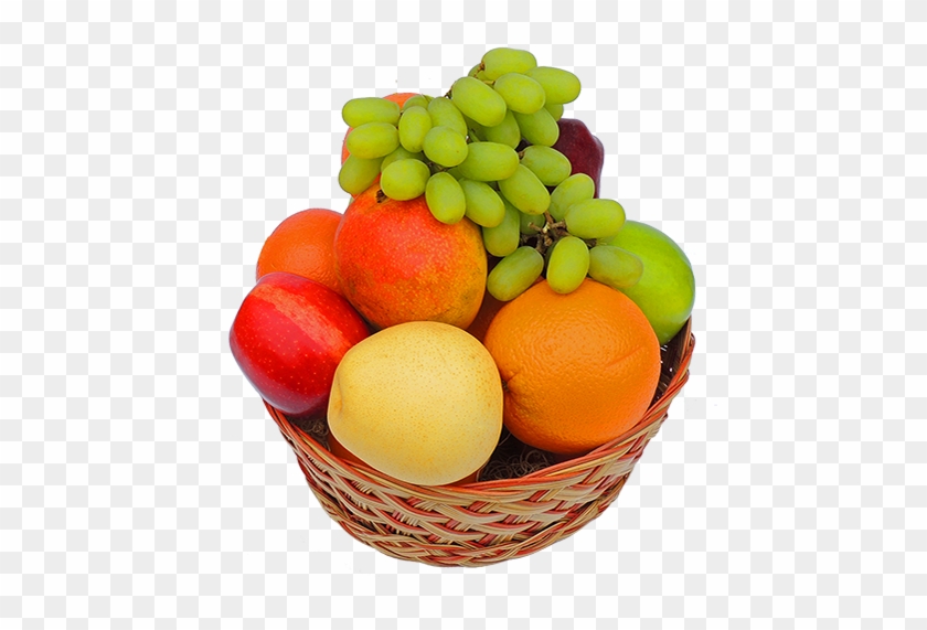 Fruit Basket #1461916