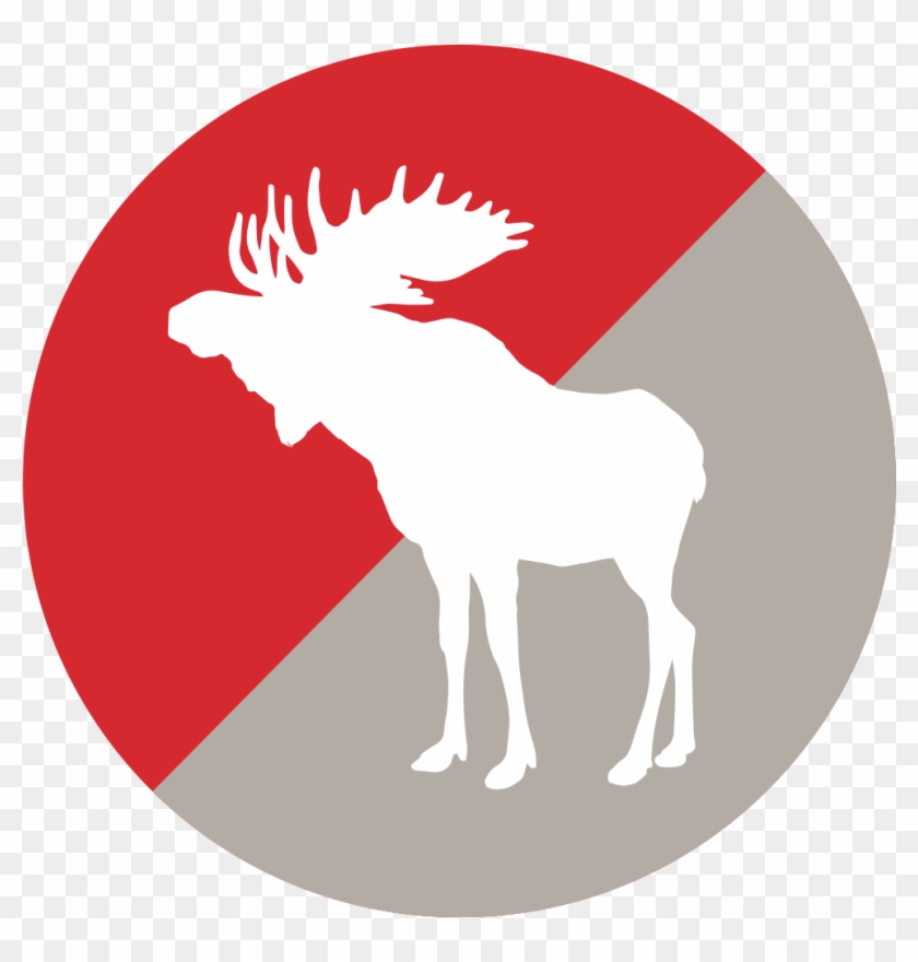 Email - - D.d. Bullwinkel's Outdoors #1462046