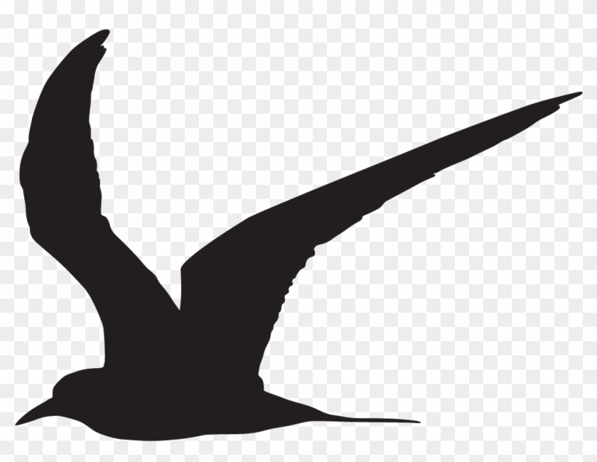 Black Tern - Common Tern Silhouette #1462072