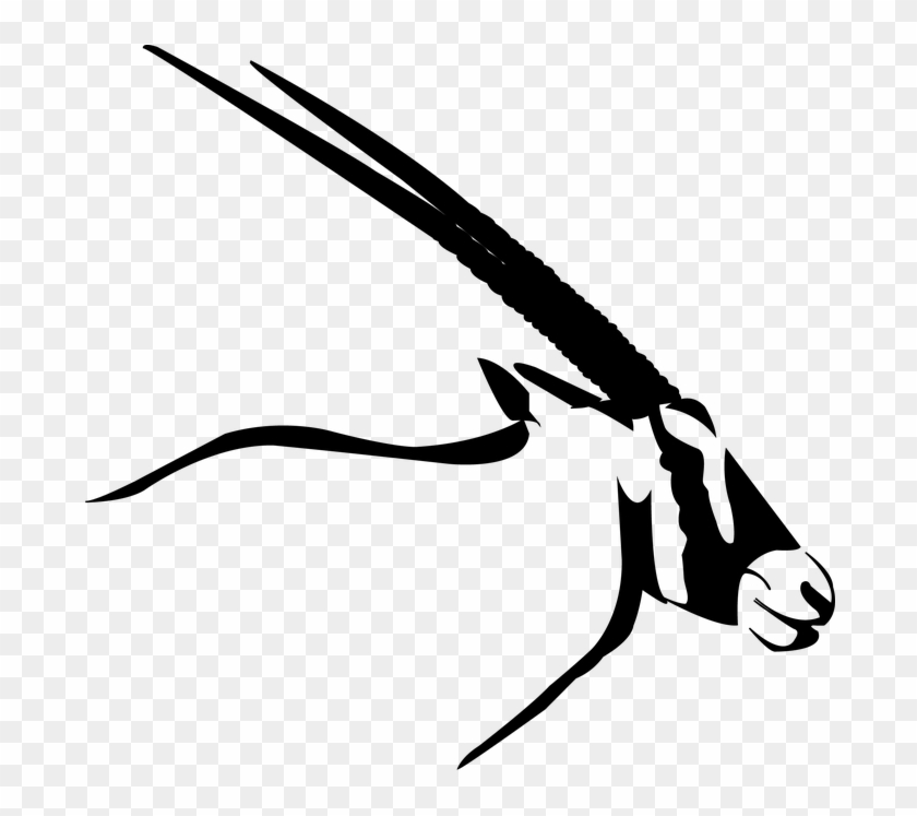 Oryx Clipart African Animal - Oryx Png #1462170