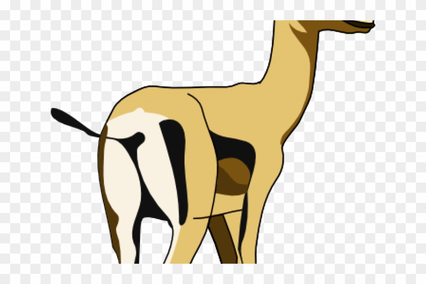 Oryx Clipart African Animal - Die Hyäne, Die 2 Antilopen Jagt Grußkarte #1462175