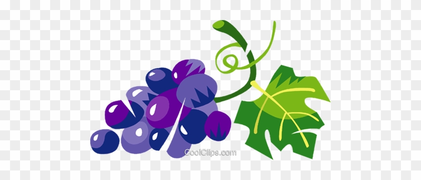 Uvas Livre De Direitos Vetores Clip Art Ilustração - Clip Art #1462313