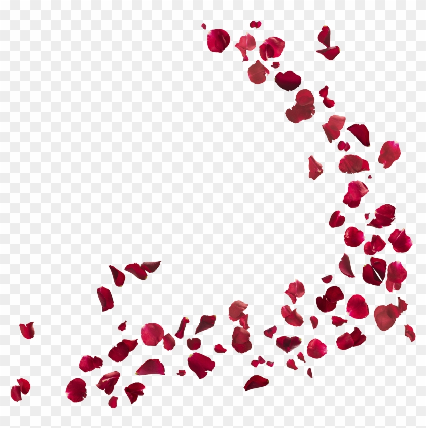 Novelas Tv Votre Coeur Bat Plus Fort Netflix Clip Art - Rose Petals Png #1462324