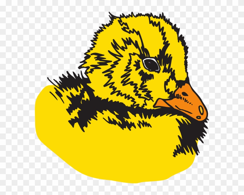 Duck #1462328