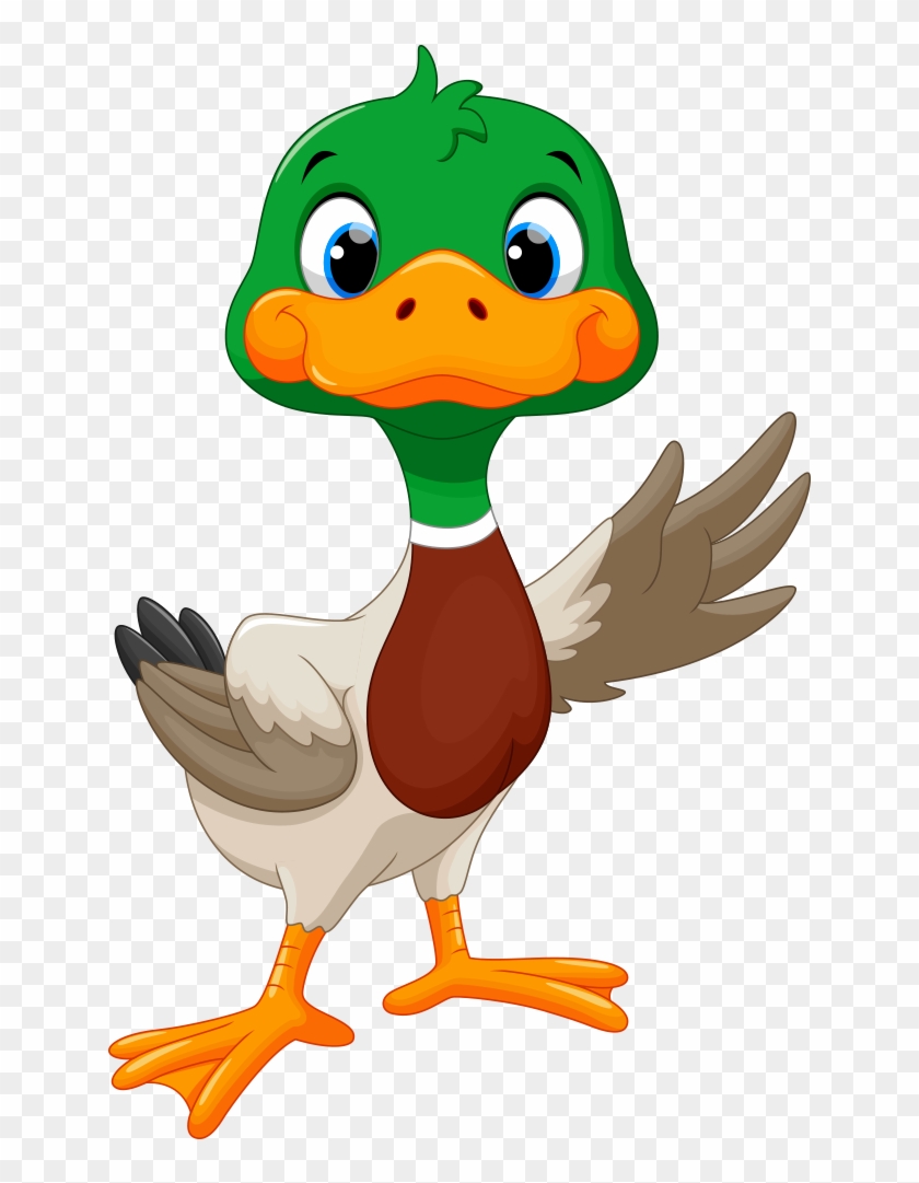 Clip Art Lovely Transprent Png Free - Cute Mallard Duck Clipart #1462334