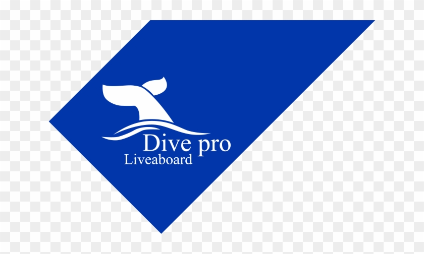Dive Pro Liveaboard - No Profile #1462420