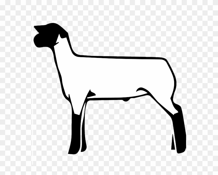 Free Show Lamb Clip Art - Club Lamb #1462716