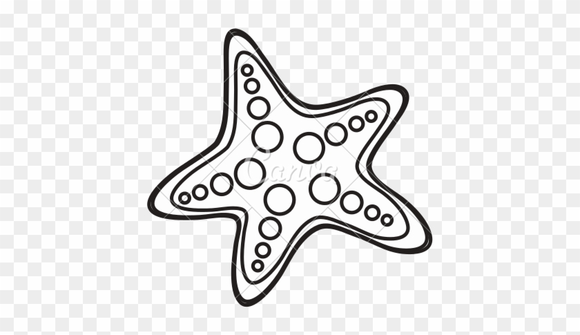 Sea Star At Getdrawings - Drawing #1462768