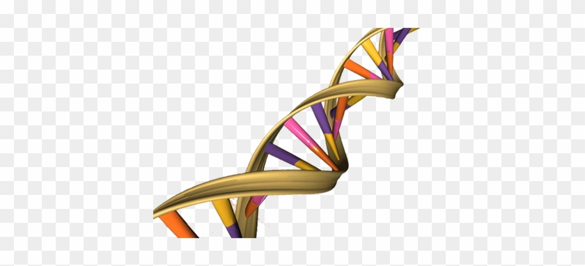 Clan Forrester Dna Information - Dna Double Helix #1463279