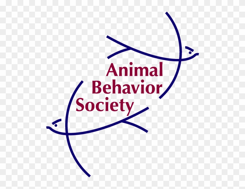 Society behavior. Animal Behavior. ABS logo. Ab logo. ABS logo PNG.