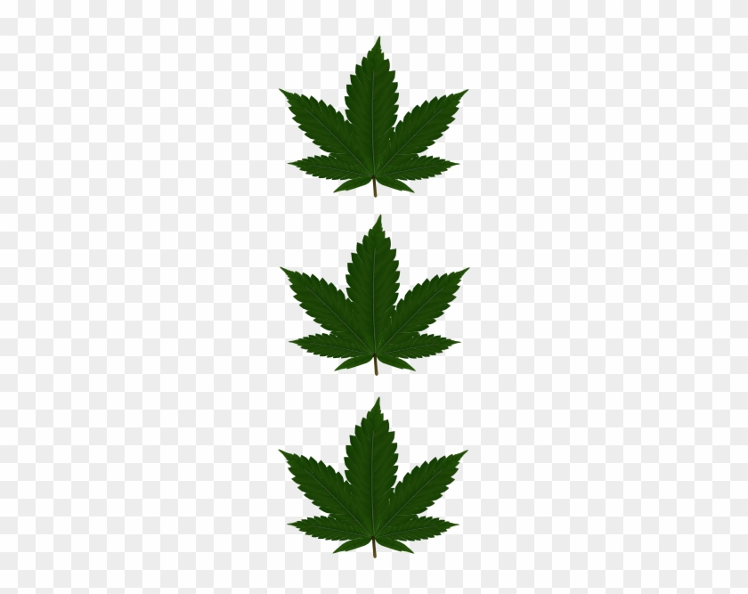 Transparent T Shirt Designs #1463781