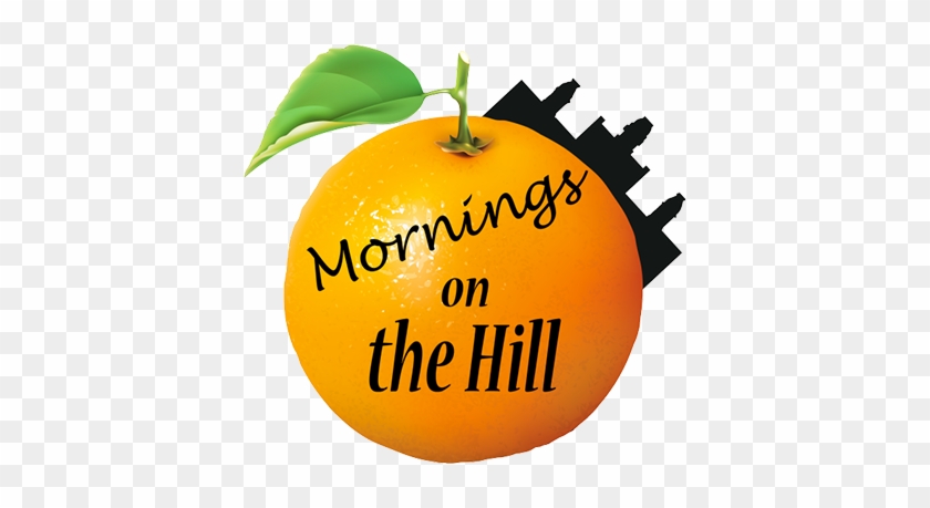 Mornings On The Hill - Songs In The Morning: A Daily Devotional #1463958