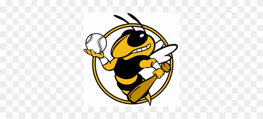 Eldred Little League - Georgia Tech #1464234