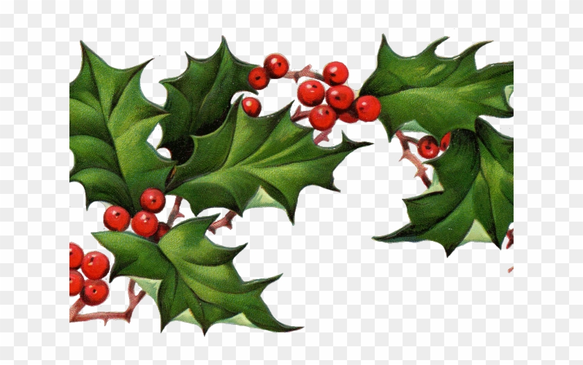 Holley Clipart December - Holly Png #1464256