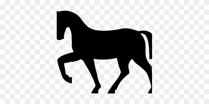 Andalusian Horse Computer Icons Pony Australian Stock - Horse Silhouette #1464380