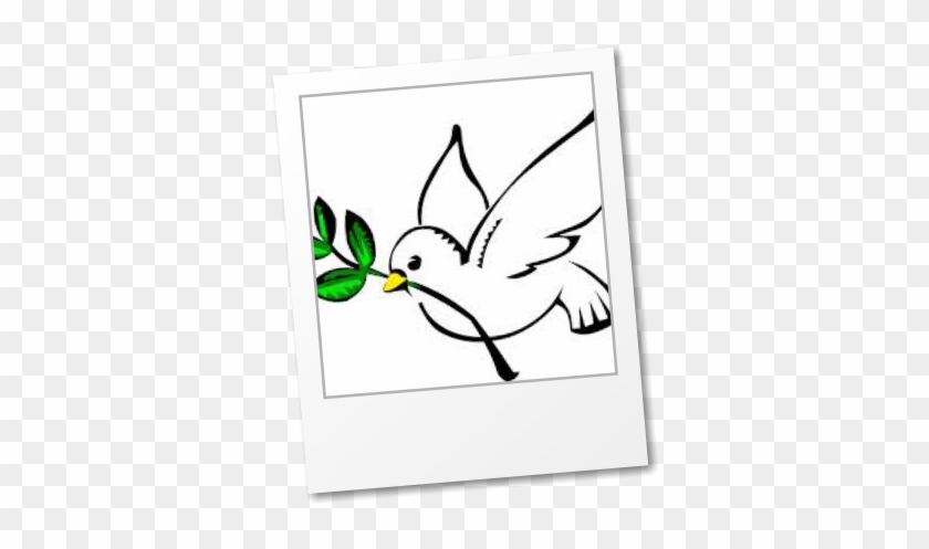 Pride In Having A Strong Catholic Ethos Which Is Committed - Dove Peace #1464542