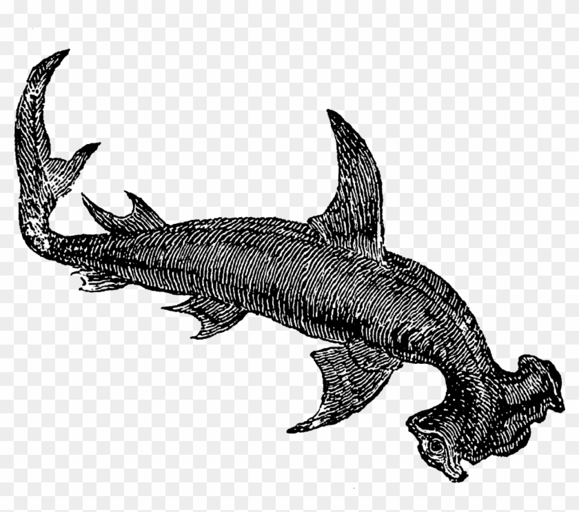 Even The First Digital Shark Clip Art Has A Very Mystical - Shark #1464817