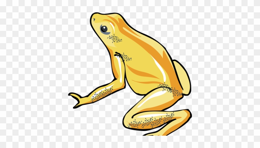 There Is 18 Frog Blue Heron Free Cliparts All Used - Clip Art #1464867