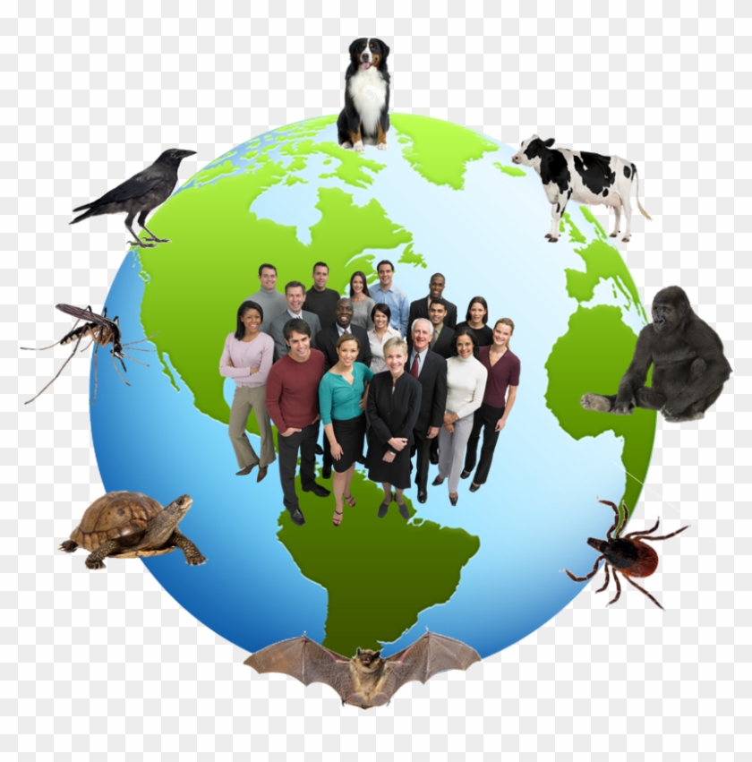 Zoonotic Diseases Clip Art Guide Trade Clip Art - Lead People & Manage Everything Else #1464995