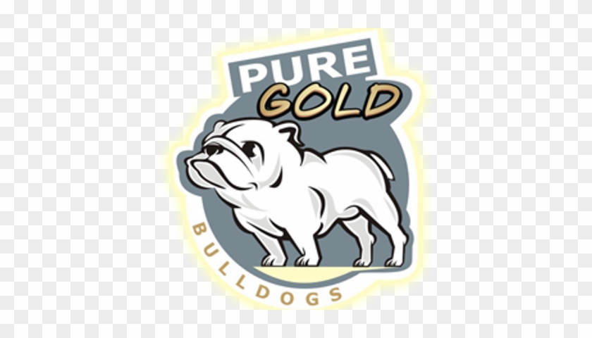 Pure Gold Bulldogs - Australian Bulldog #1465036