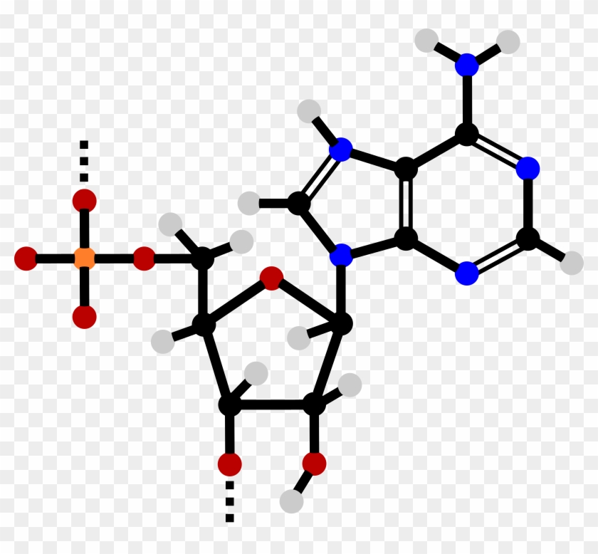 By Jammi Evil - Nucleotide Clipart #1466249