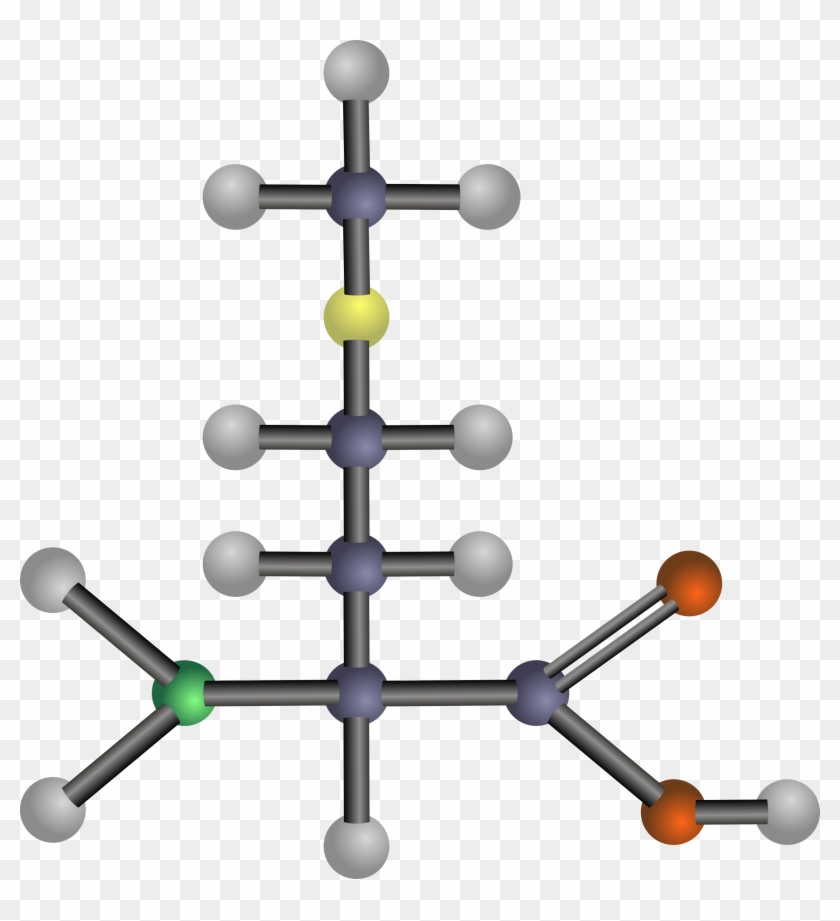 Branched-chain Amino Acid Threonine Aspartic Acid - Amino Acids: Biochemistry And Applications #1466250