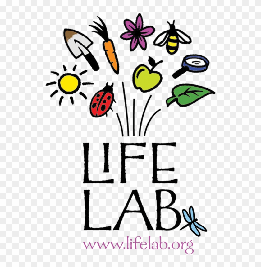 Cookout Clipart Byob - Life Lab #1466358