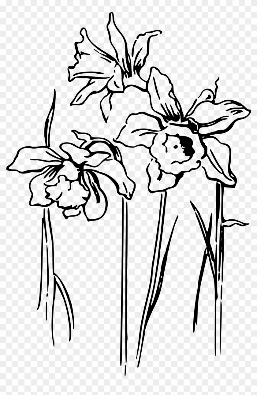 Flower Drawing At Getdrawings - Daffodil Png Black And White #1467277