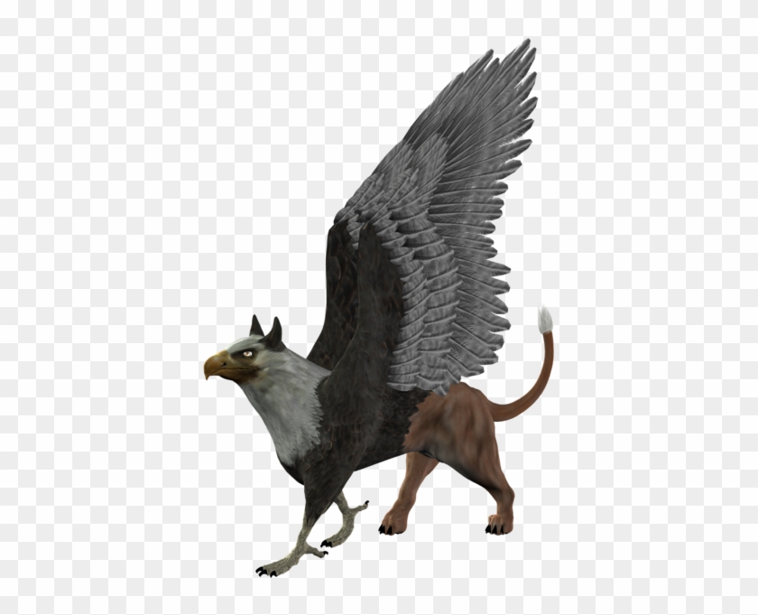 Stock Png Gryphon By Maureenolder On Clipart Library - Griffin #1467301