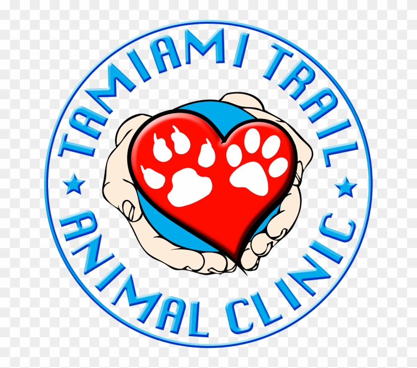 Last Generation Medical Equipment - Tamiami Animal Hospital #1467381