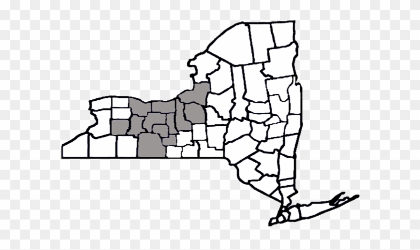 Strong Center For Developmental - Map Of New York #1467651