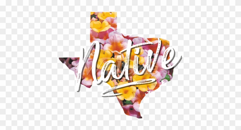 Texas Native Flowers - Illustration #1467688