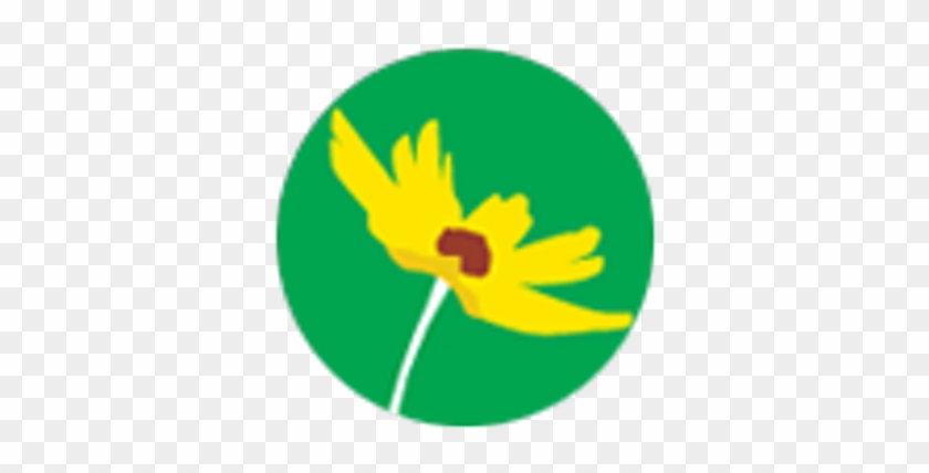 Florida Wildflower - Florida Wildflower #1467690