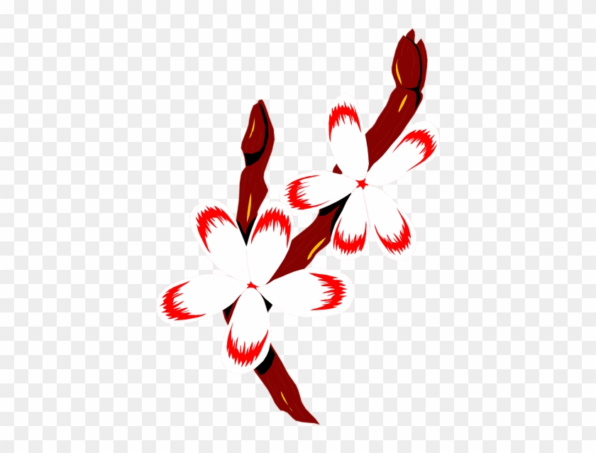 Free Stock Photos - Red And White Flower Png #1467709