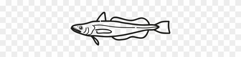 European Hake - Line Art #1468000