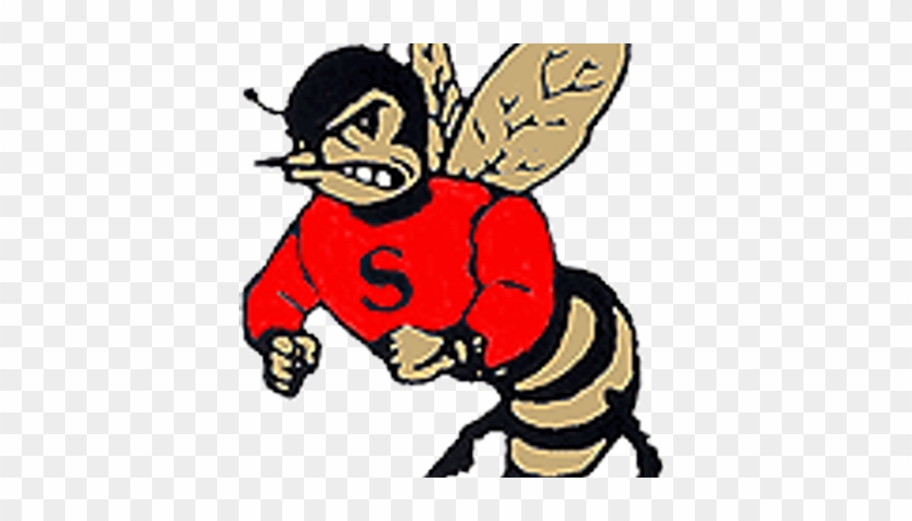 Salisbury Hs - Salisbury High School Hornets #1468251