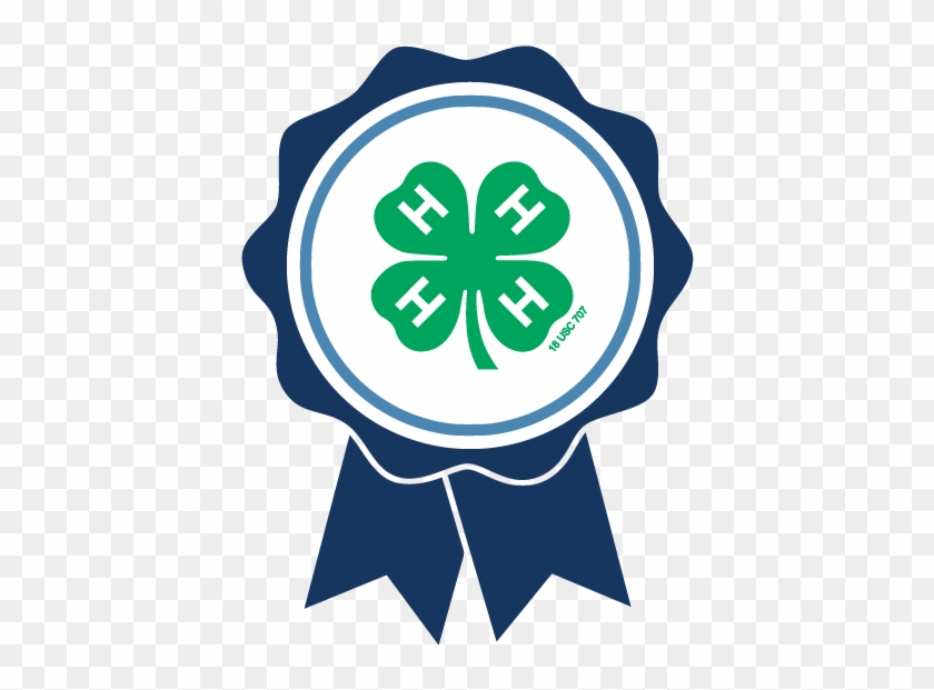 2019 Maine 4-h State Public Speaking Tournament - 4 H Clover #1468593