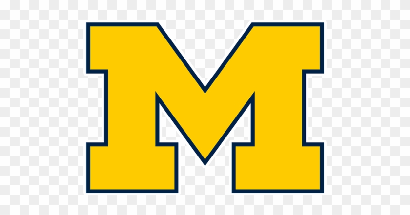 The Notre Dame Fighting Irish Defeat The Michigan Wolverines - Logo Michigan Football #1469370