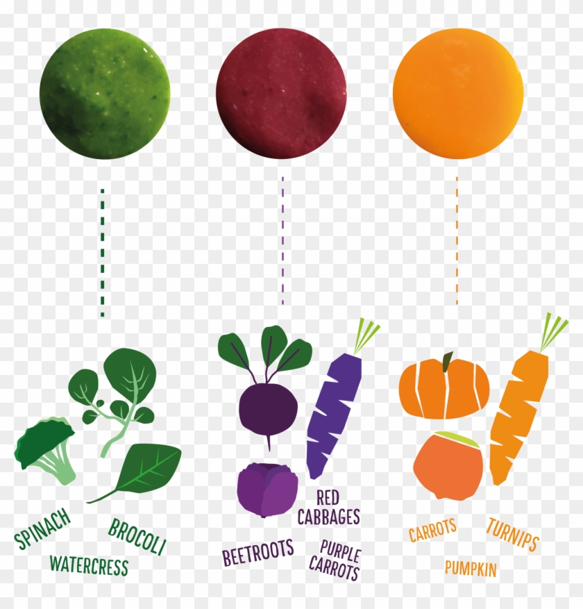 The Idea Is That The Color Of The Pack Is Th Color - The Idea Is That The Color Of The Pack Is Th Color #1469497