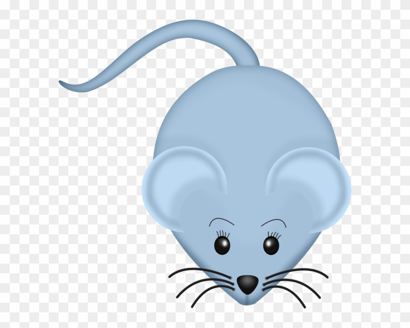 Mouse Animals Images, Zoo Animals, Animal Pictures, - Mouse Animals Images, Zoo Animals, Animal Pictures, #1469620